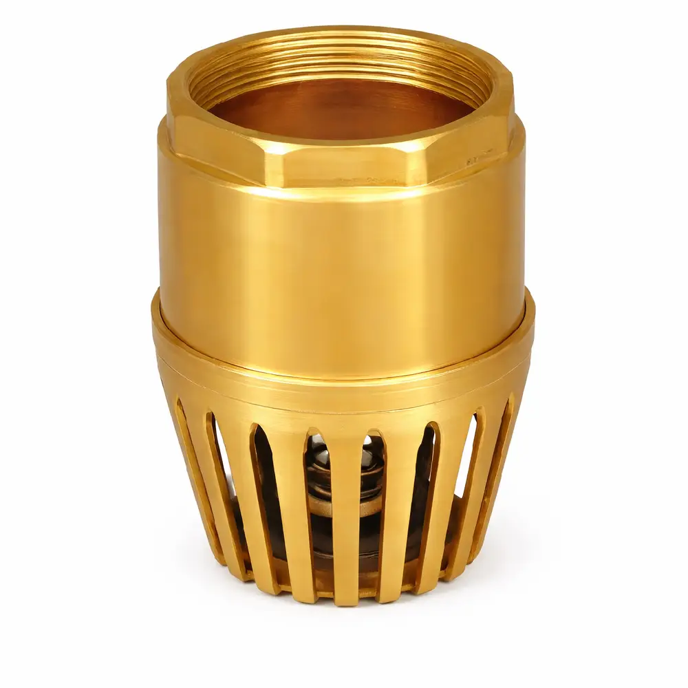 Foot Valve