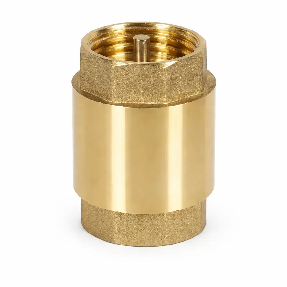 Non Return Valve