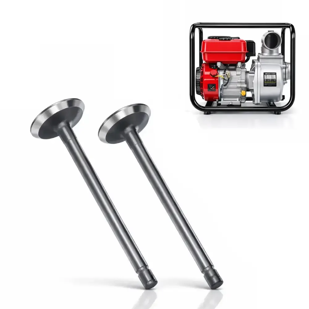 Petrol Engine Water Pump 2 Inch Piston Valve