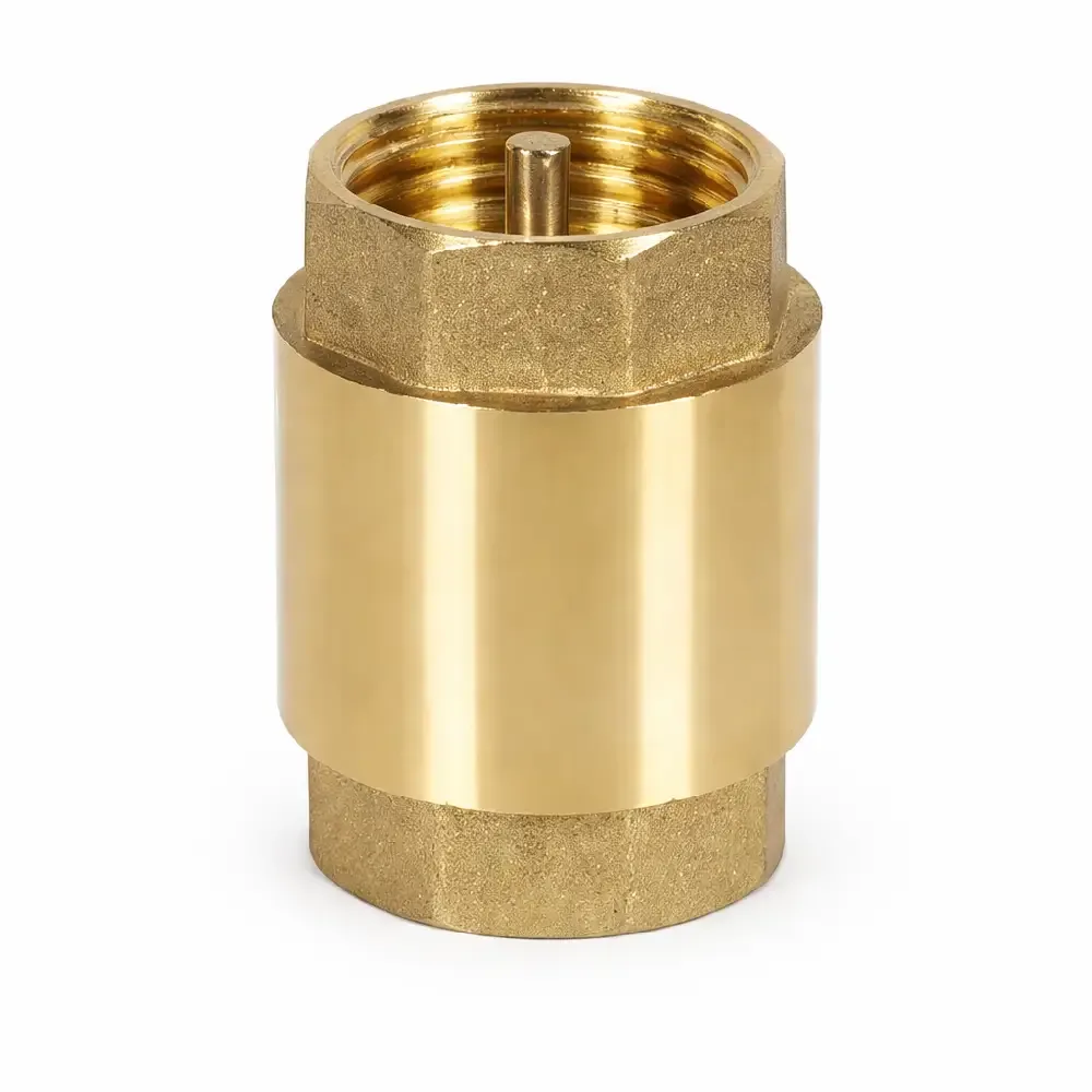 Non Return Valve