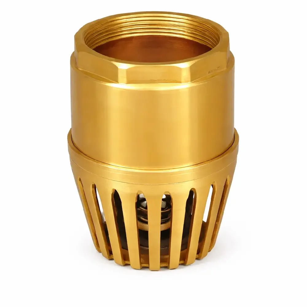 Foot Valve