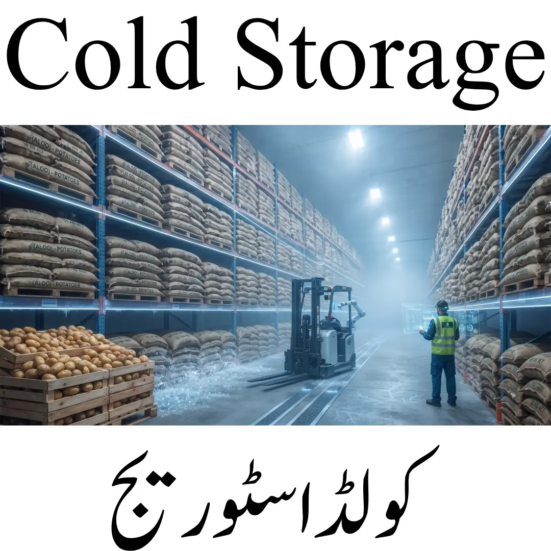 کولڈ اسٹوریج