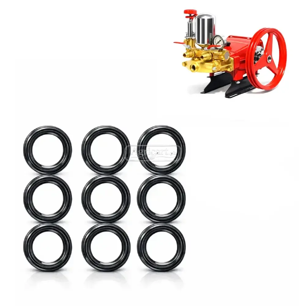 Bj 90 High Pressure Power Spray Pump Plunger Seal Set
