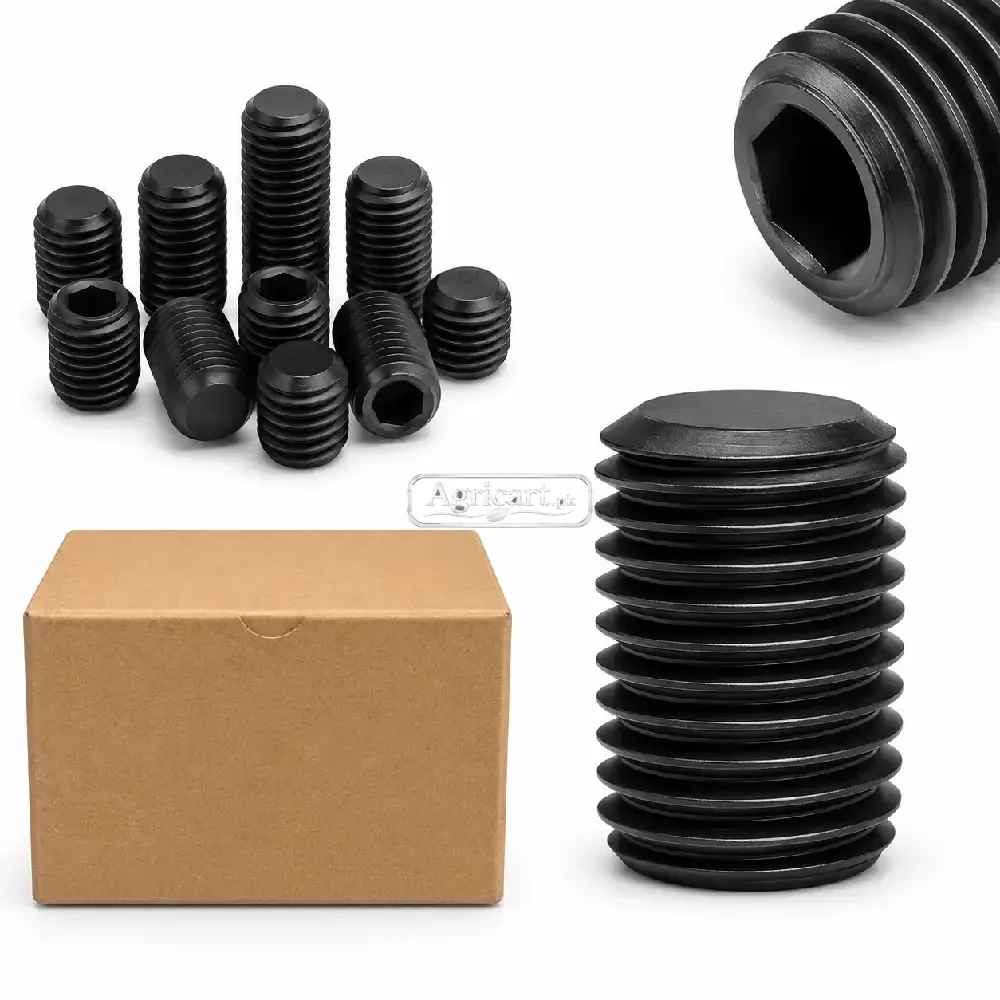10Mm 12Mm Inner Head Allen Key Bolt