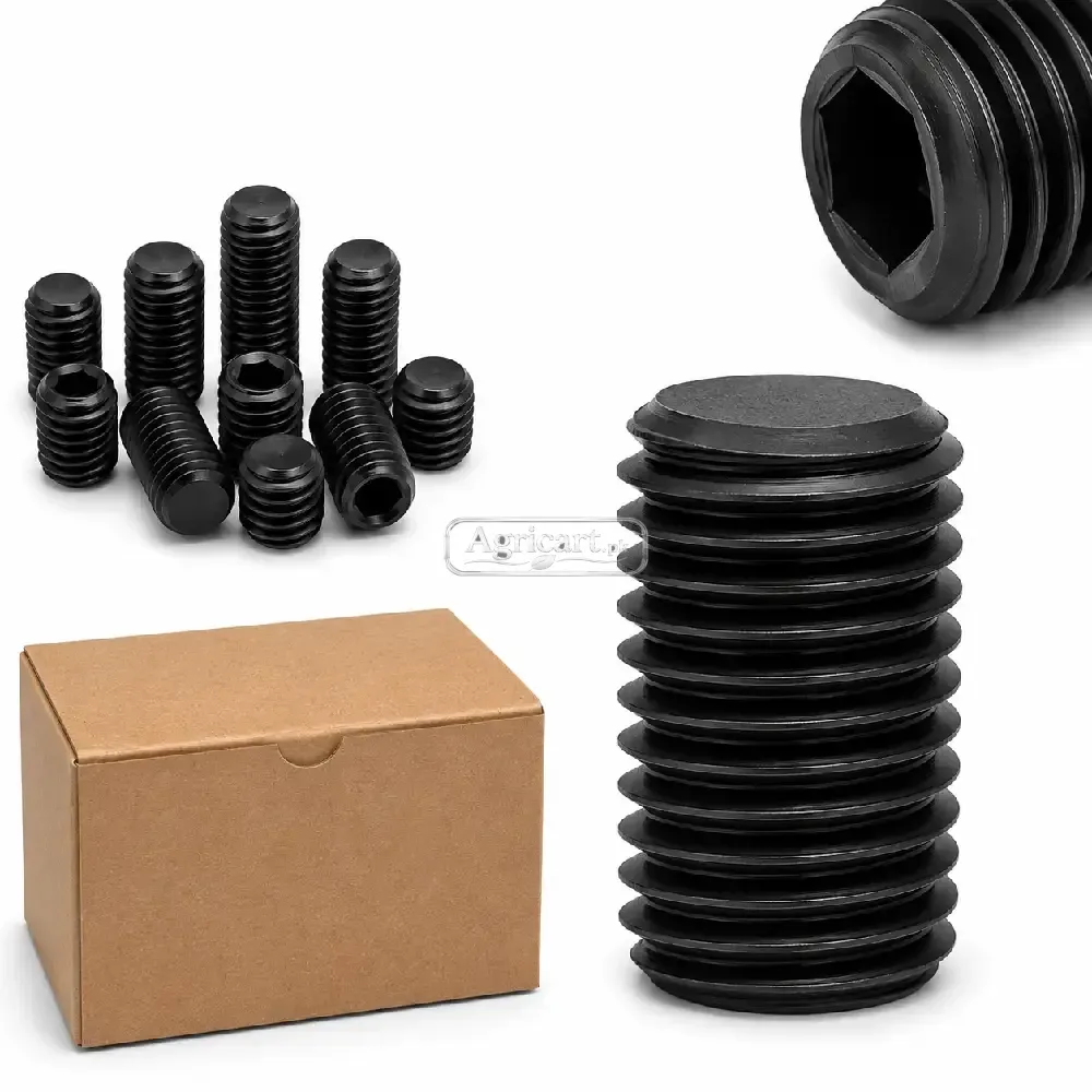 10Mm 18Mm Inner Head Allen Key Bolt