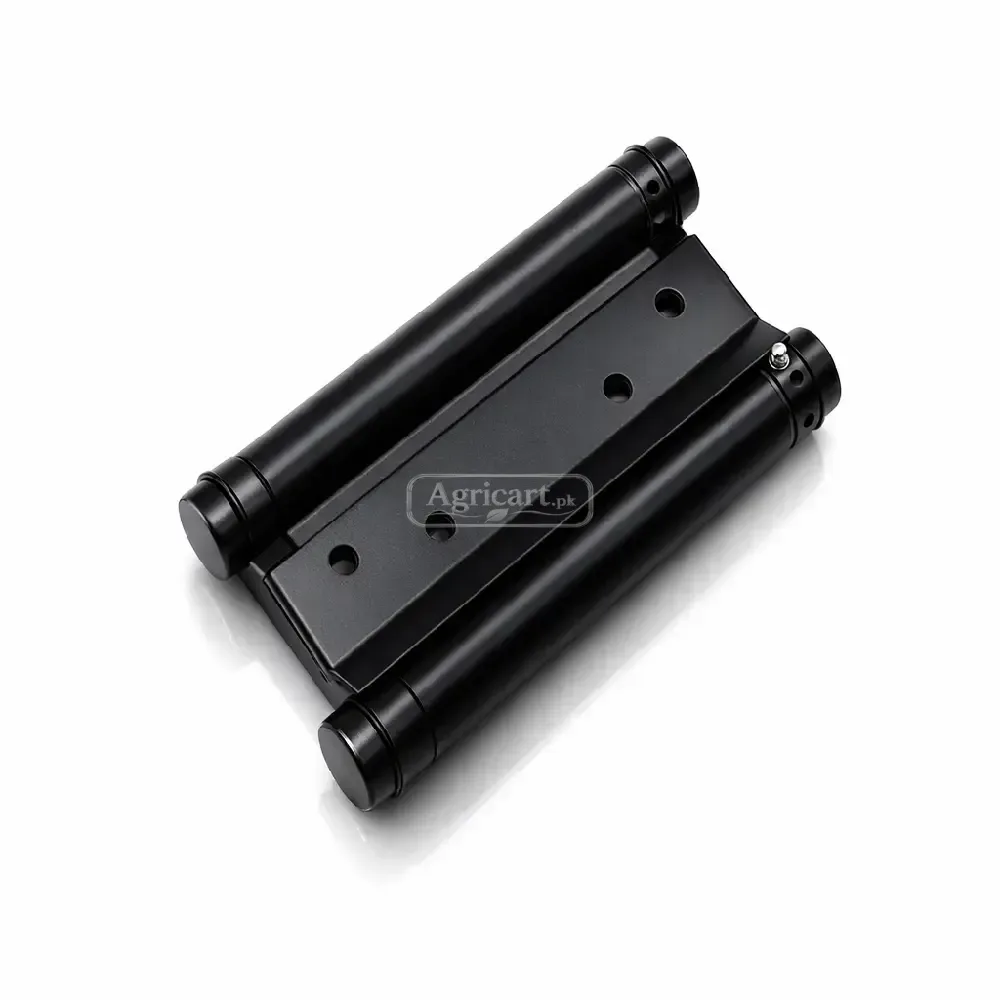 Double Action Door Hinge