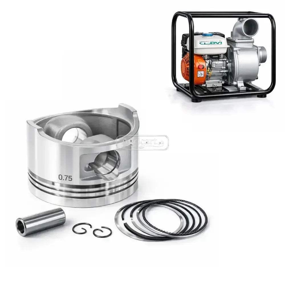 Petrol Engine Water Pump 4 Inch Piston Ring Set 0.75 Size