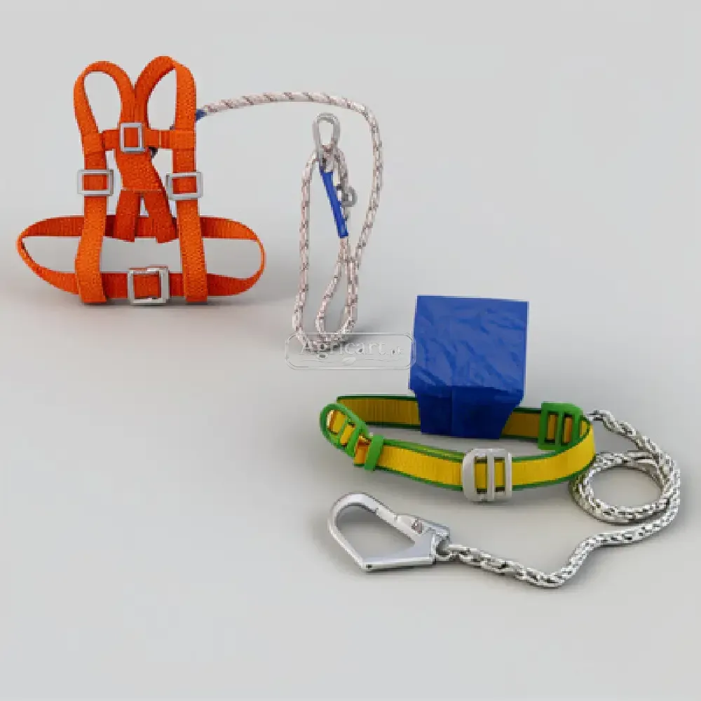 Safety Belt Harness