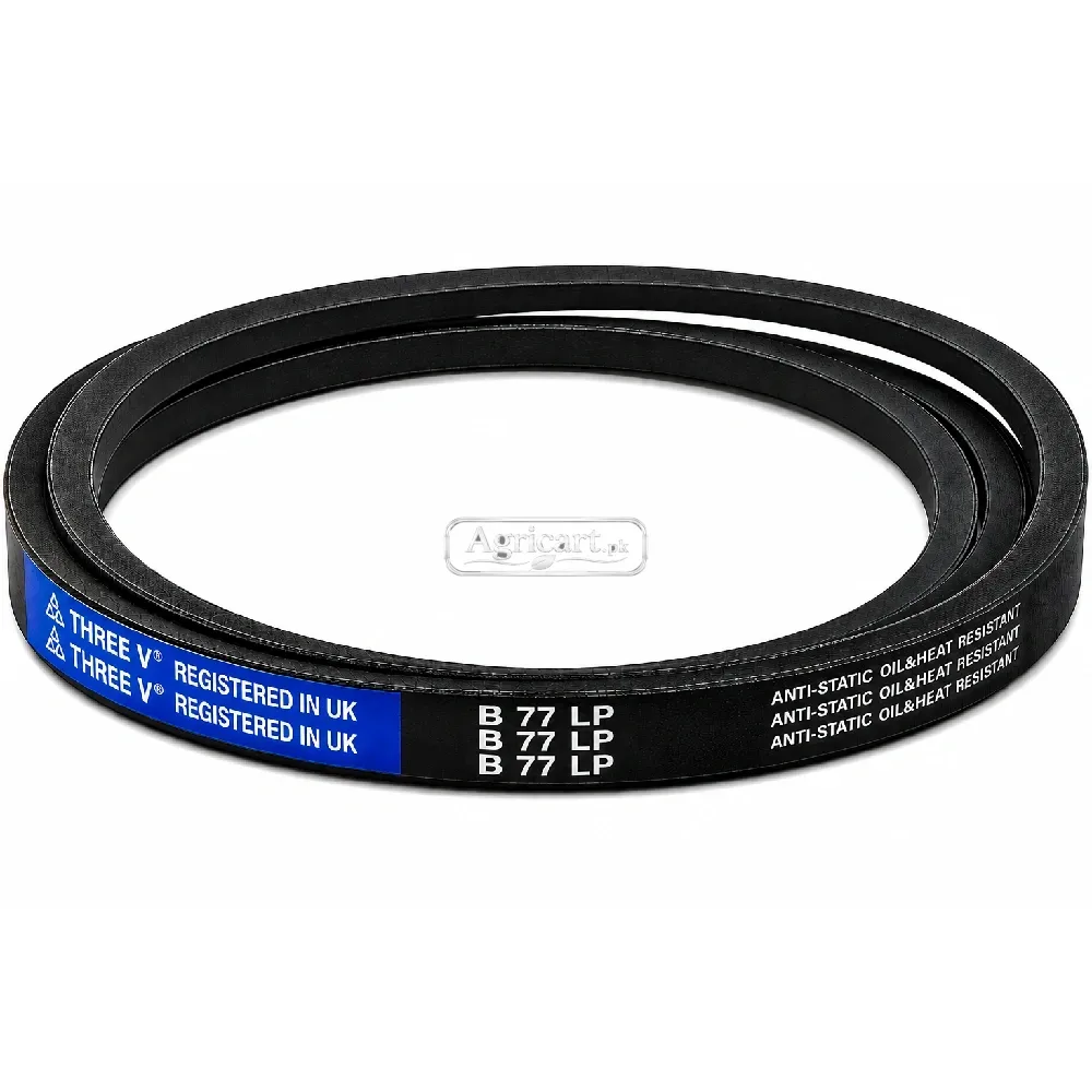 B77 V Belt