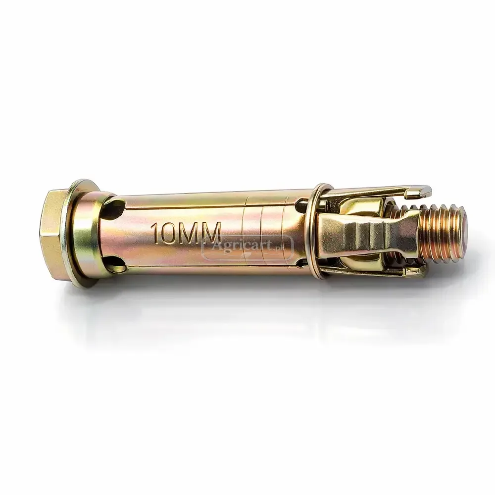 Rawl Bolt 10Mm