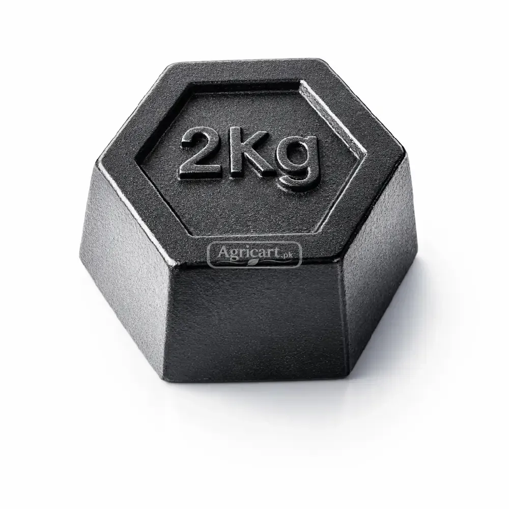Weight Stone 2 Kg