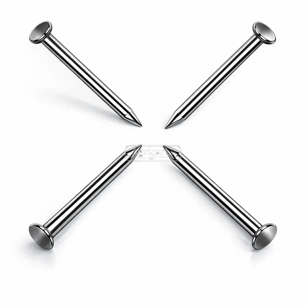 Iron Nails 3Inch 10 No