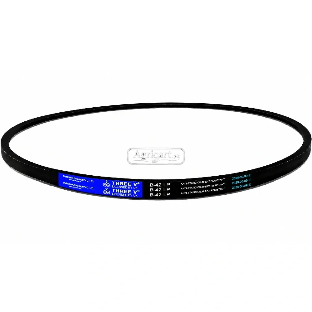 B42 V Belt