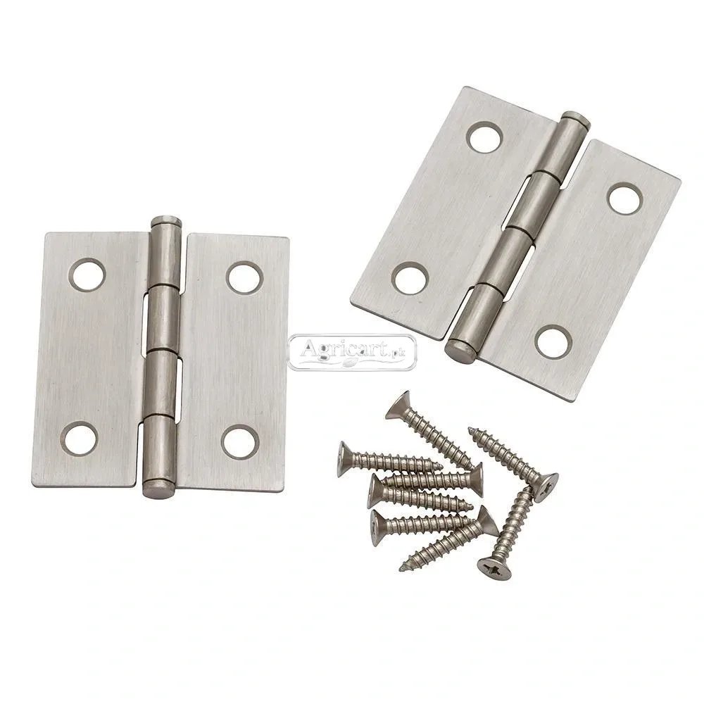 Door Hinge 2 Inch