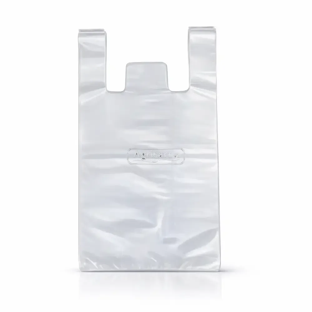 Polythene Shopping Bag 16×13 Inch