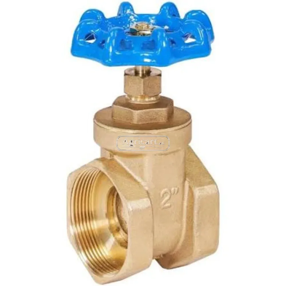 Gate Valve 2 Inch