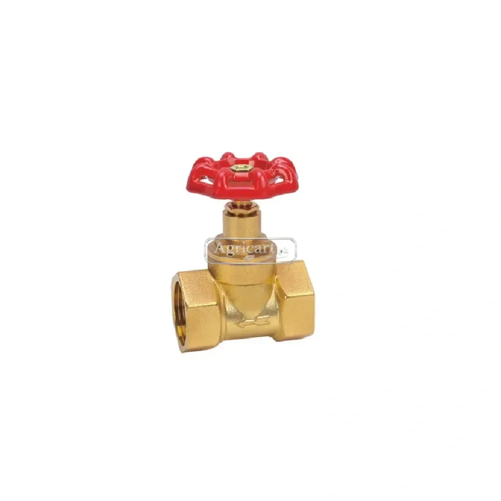 Gate Valve 1/2 Inch