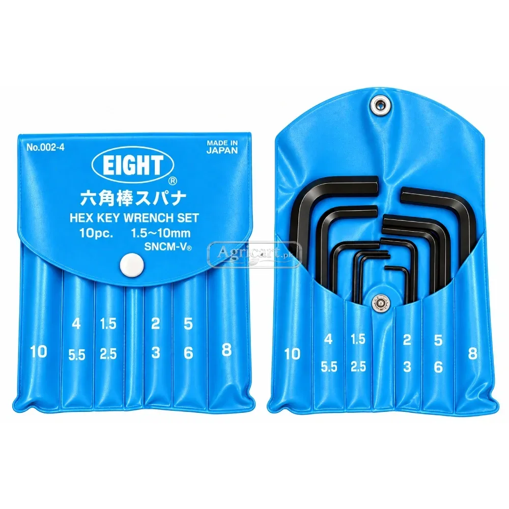 Allen Key Set 10 Pcs