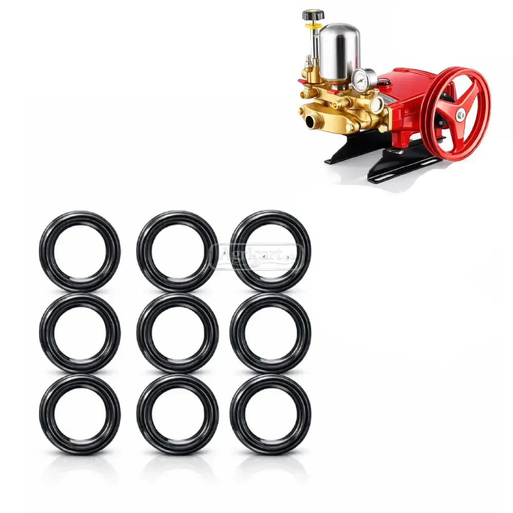 Bj 45 High Pressure Power Spray Pump Plunger Seal Set