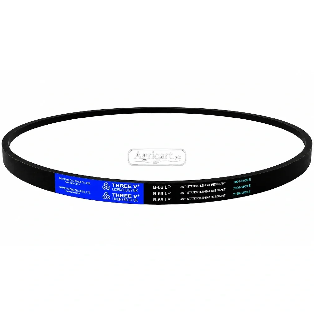 B66 V Belt