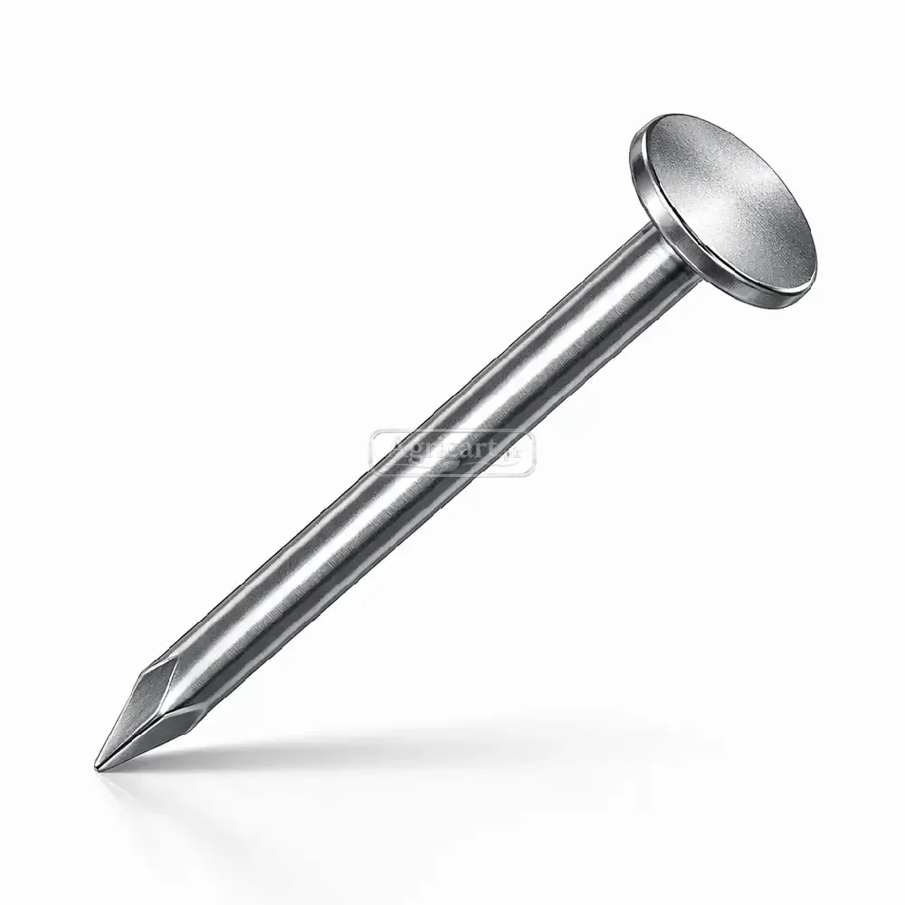 Iron Nail Chinioti 4Inch
