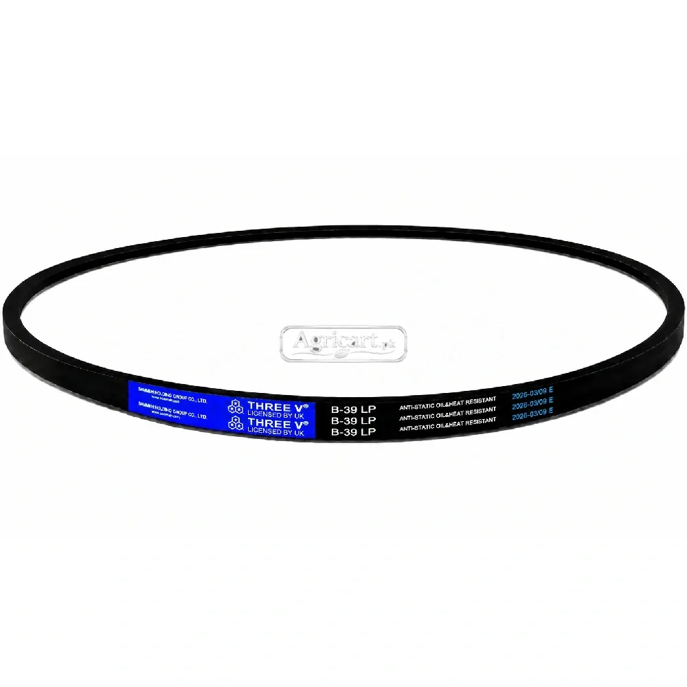 B39 V Belt
