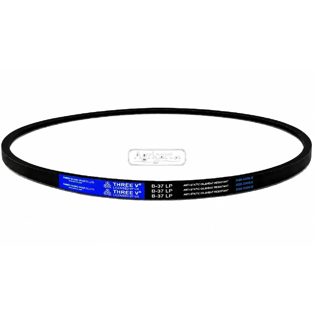 B37 V Belt