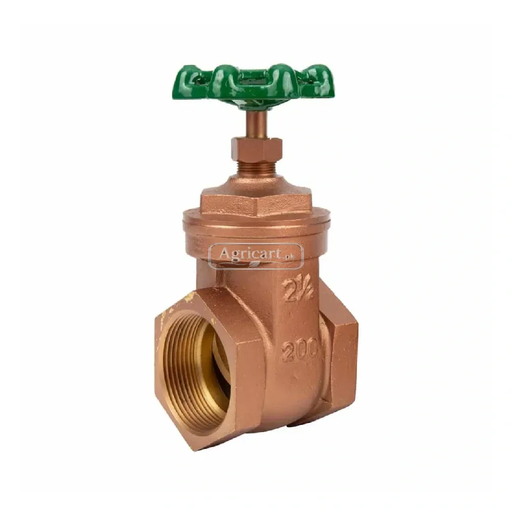 Gate Valve 2.5 Inch