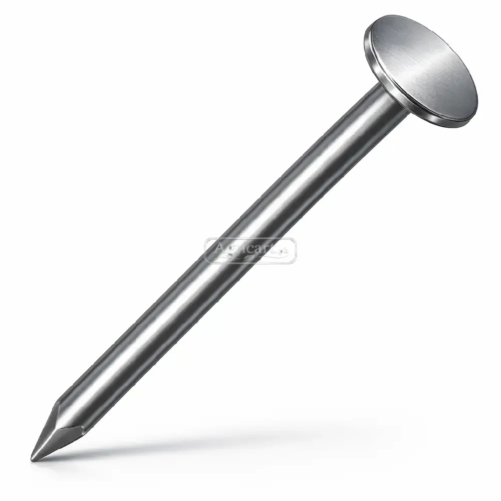 Iron Nail Chinioti 6Inch