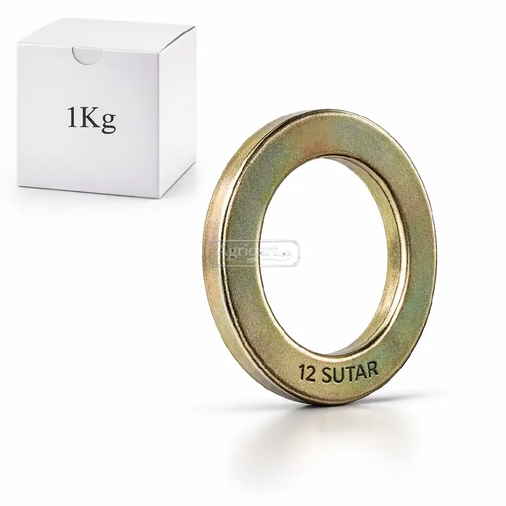 12 Sutar Galvanized Flat Washers