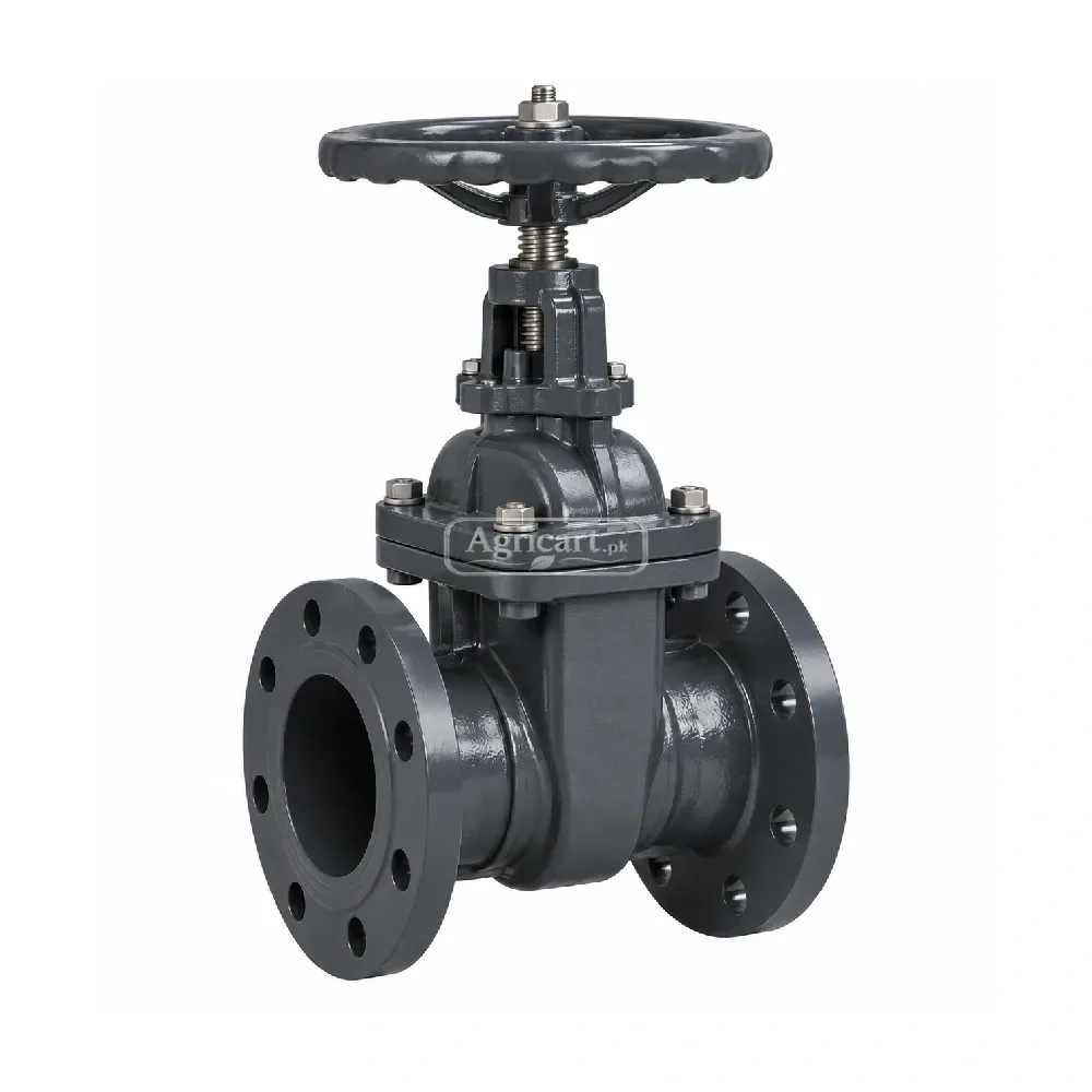 Flange Gate Valve 5 Inch