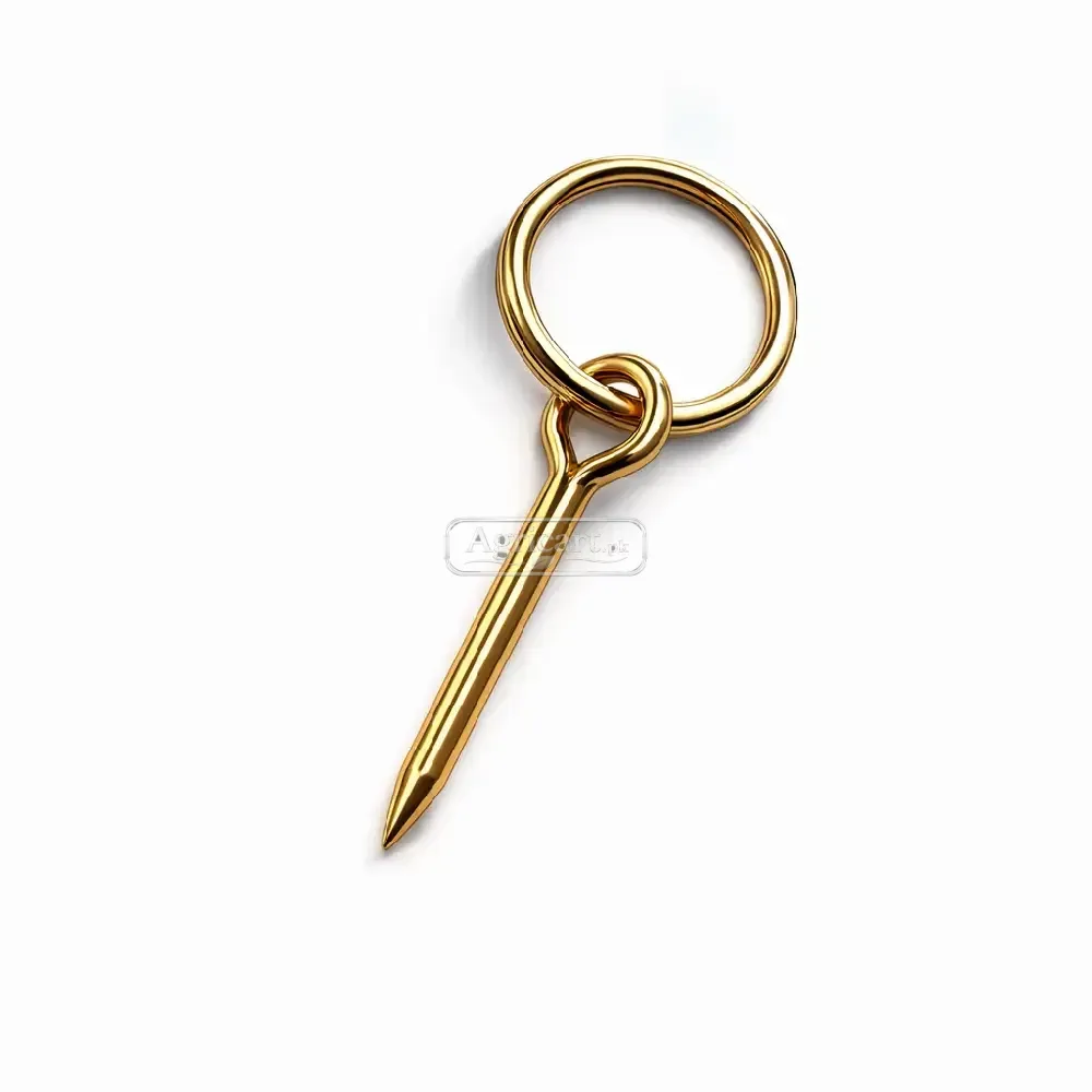 Blackened Ring With Nail Golden Golaba