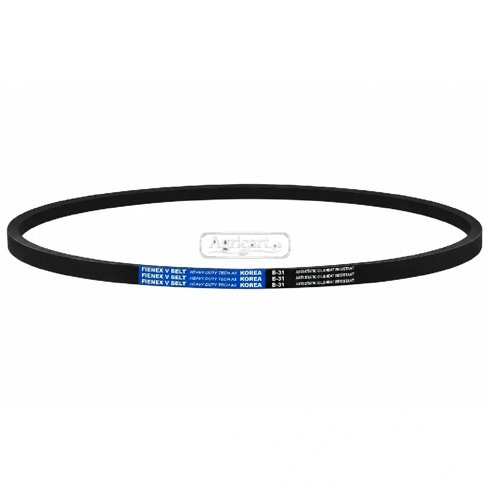 B31 V Belt