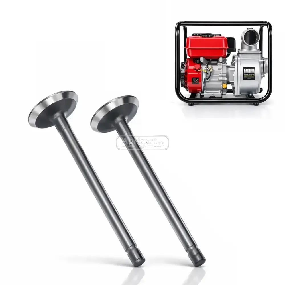 Petrol Engine Water Pump 2 Inch Piston Valve Os Size