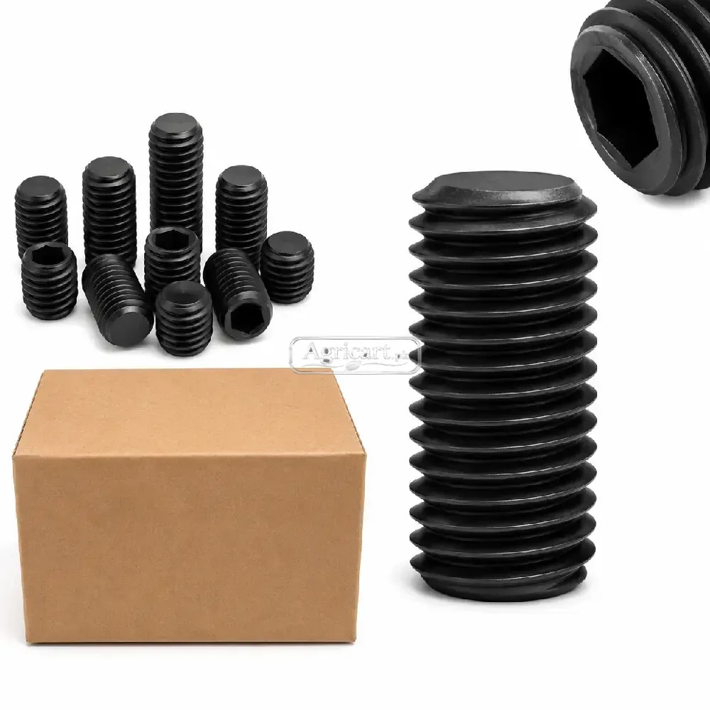 10Mm 38Mm Inner Head Allen Key Bolt