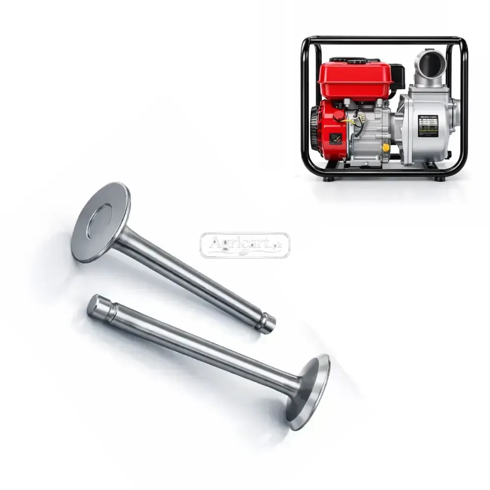 Petrol Engine Water Pump 2 Inch Piston Valve Std Size