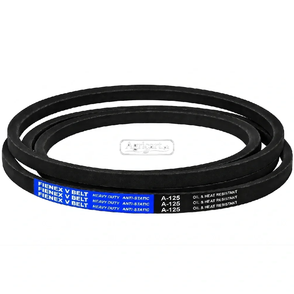 A 125 V Belt