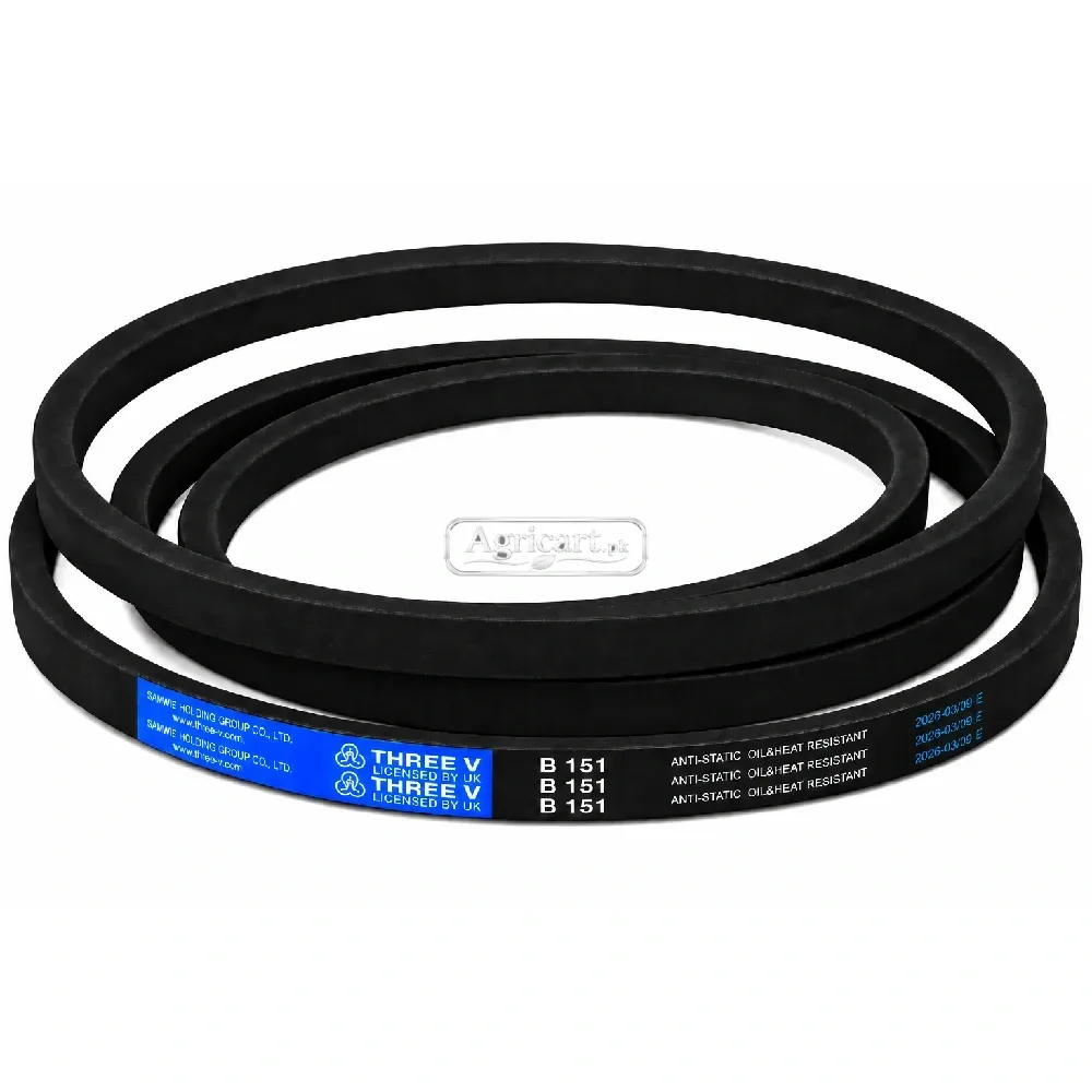 B151 V Belt