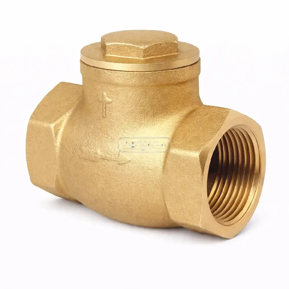 Check Valve