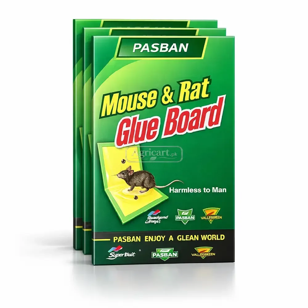Super Mouse Trap Glue Book