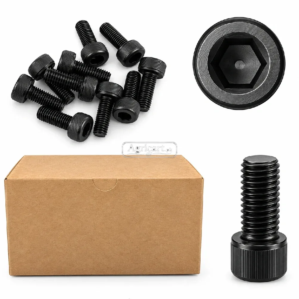 6Mm 12Mm Allen Bolt Socket Head