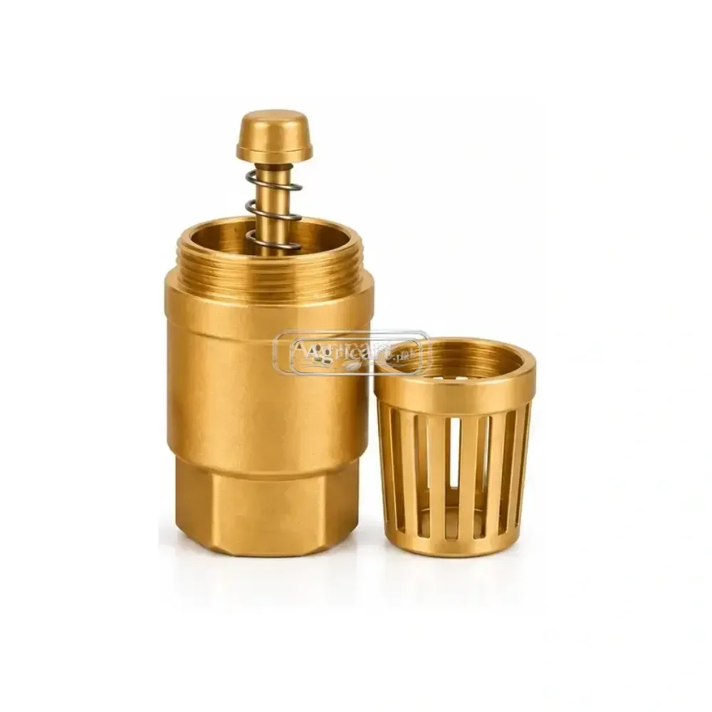 Foot Valve Brass 4 Inch