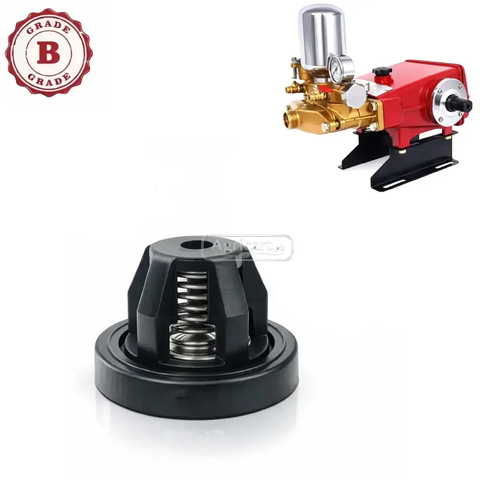 Bj 170 High Pressure Power Spray Pump Suction Valve B Grade
