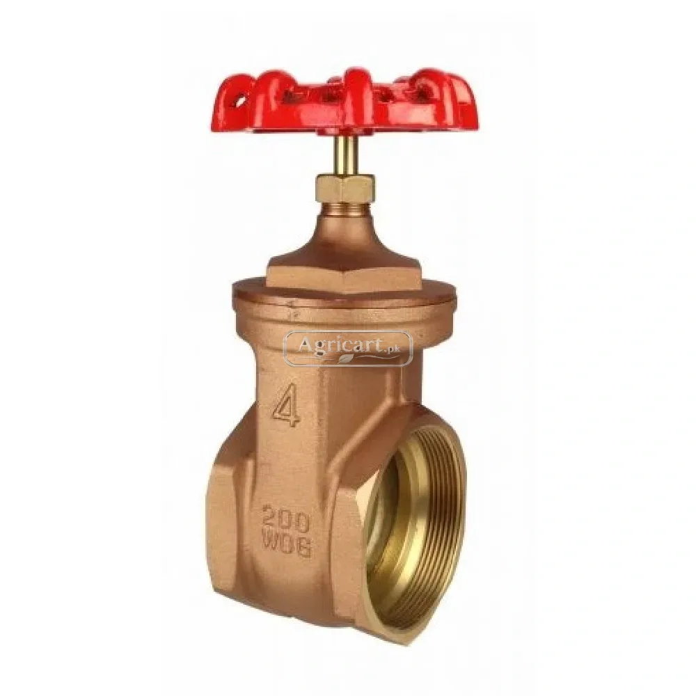 Gate Valve 4 Inch