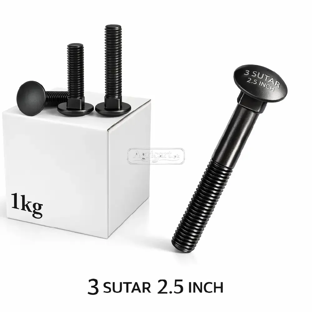 3 sutar 2.5 Inch Carriage Bolt