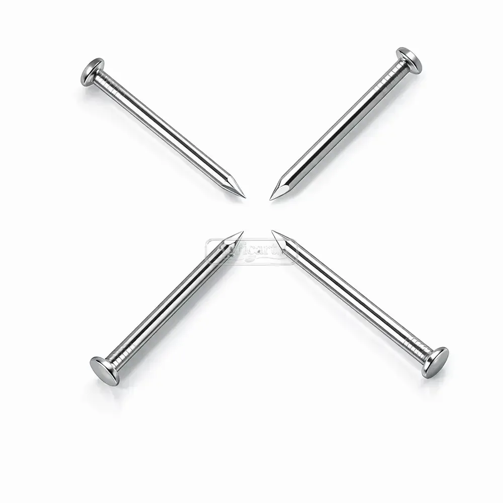 Iron Nails 1.5Inch 12 No