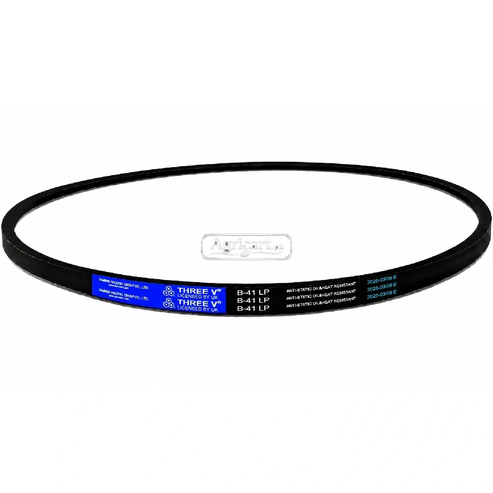 B41 V Belt
