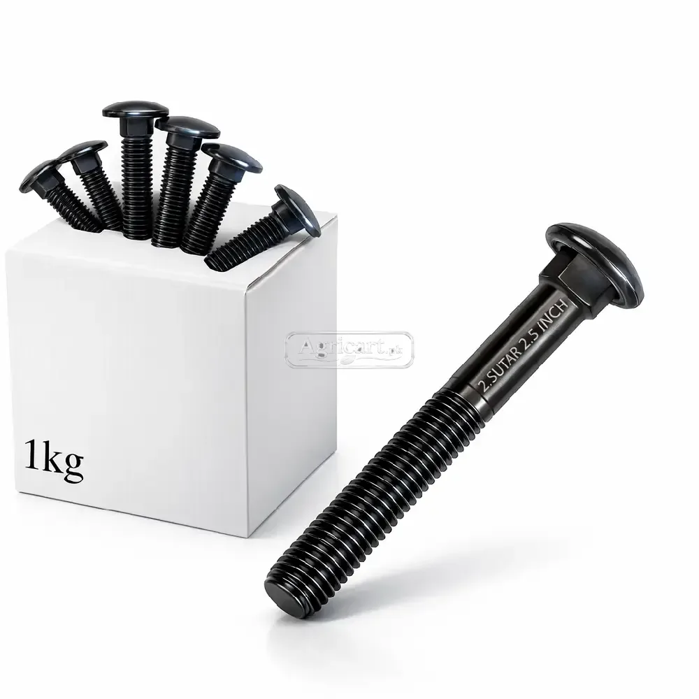 2 sutar 2.5 Inch Carriage Bolt