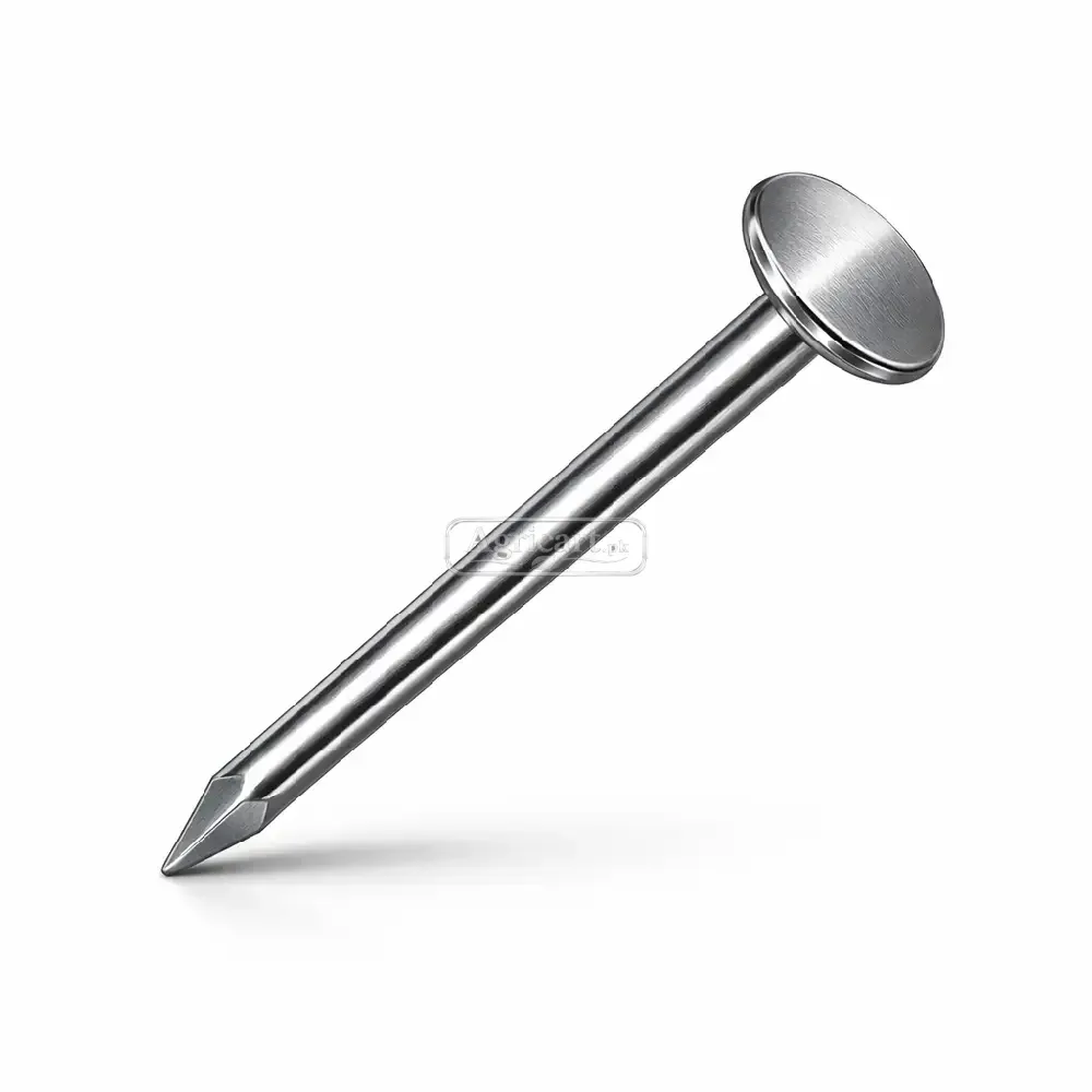 Iron Nail Chinioti 3Inch