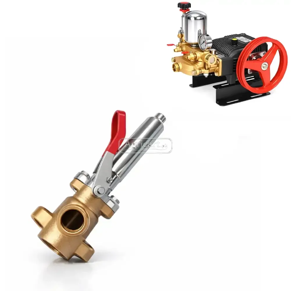 Bj 100 High Pressure Power Spray Pump Control Valve